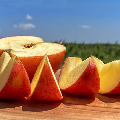 Aufgeschnittener Rubinella Apfel